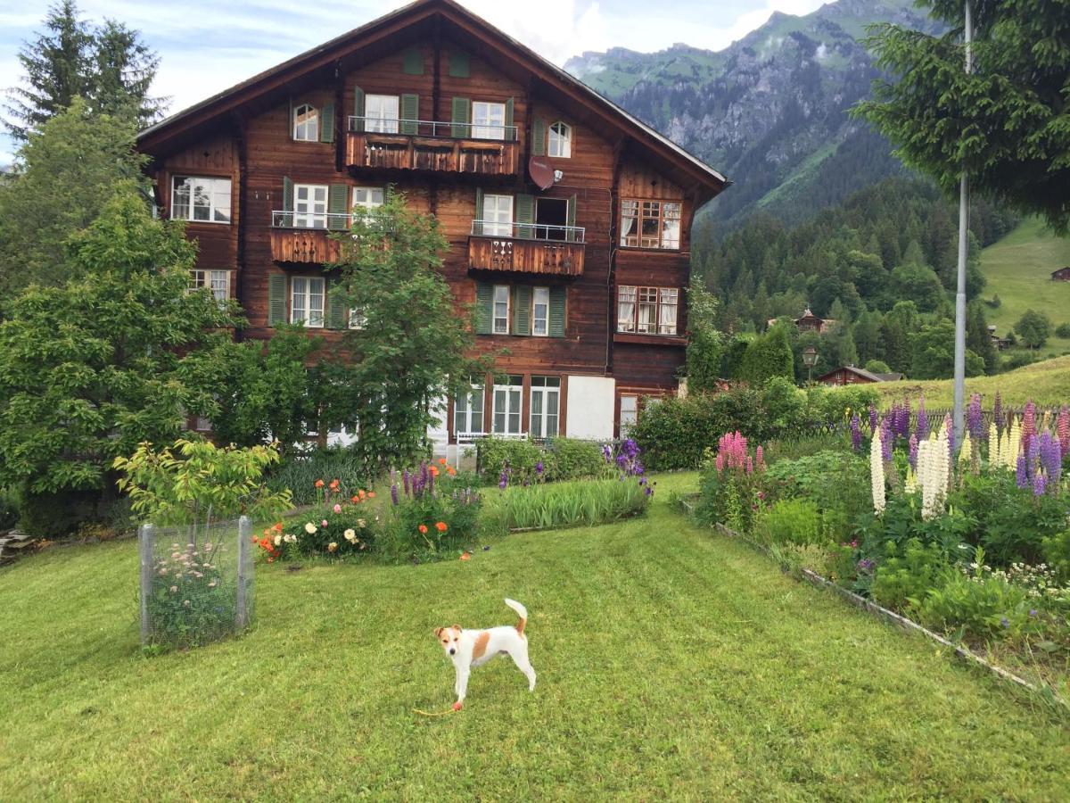 Staubbachbaenkli Apartment Wengen Exterior photo