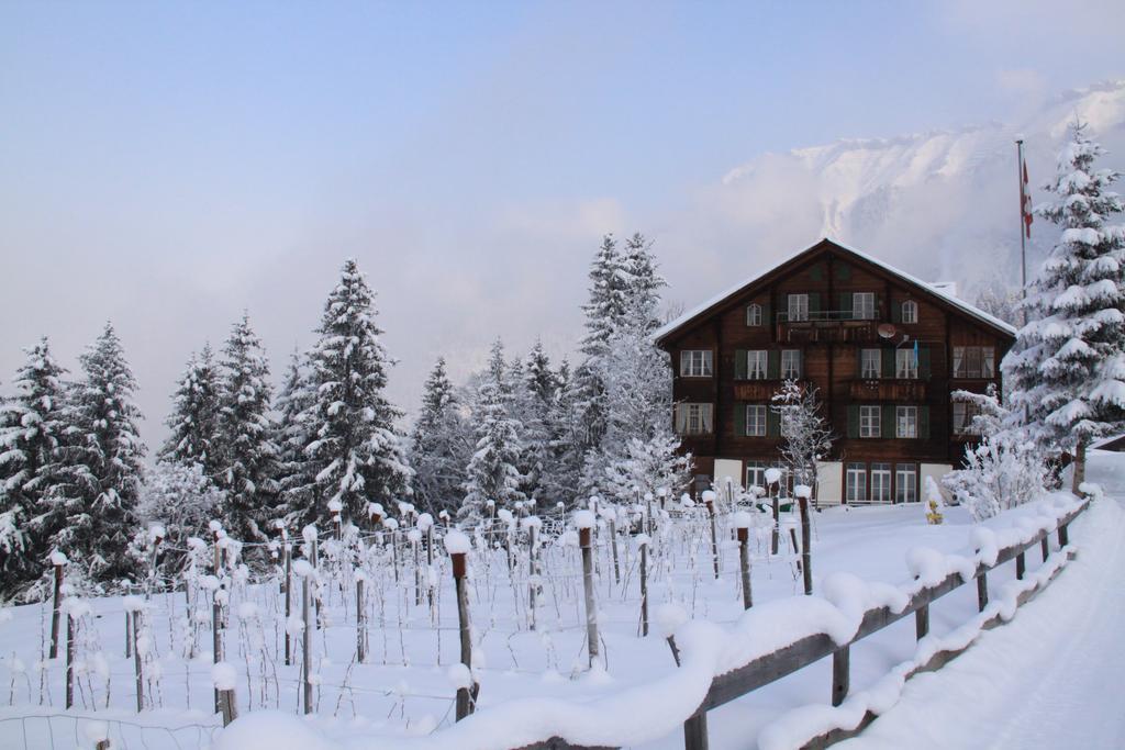 Staubbachbaenkli Apartment Wengen Exterior photo